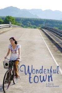 Wonderful Town (2007) เมืองเหงาซ่อนรัก