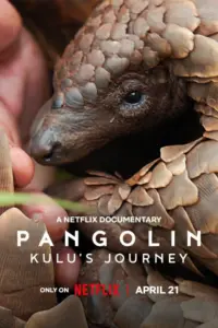 Pangolin Kulu’s Journey (2025) การเดินทางของคูลู